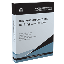 Business/Corporate And Banking Law Practice, 2020-21